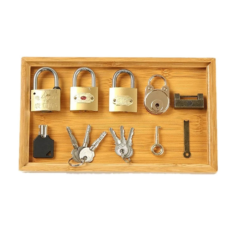 Montessori Matching Game Lock Key Set Educational Toys Gift for Kids Toddlers | Walmart (US)