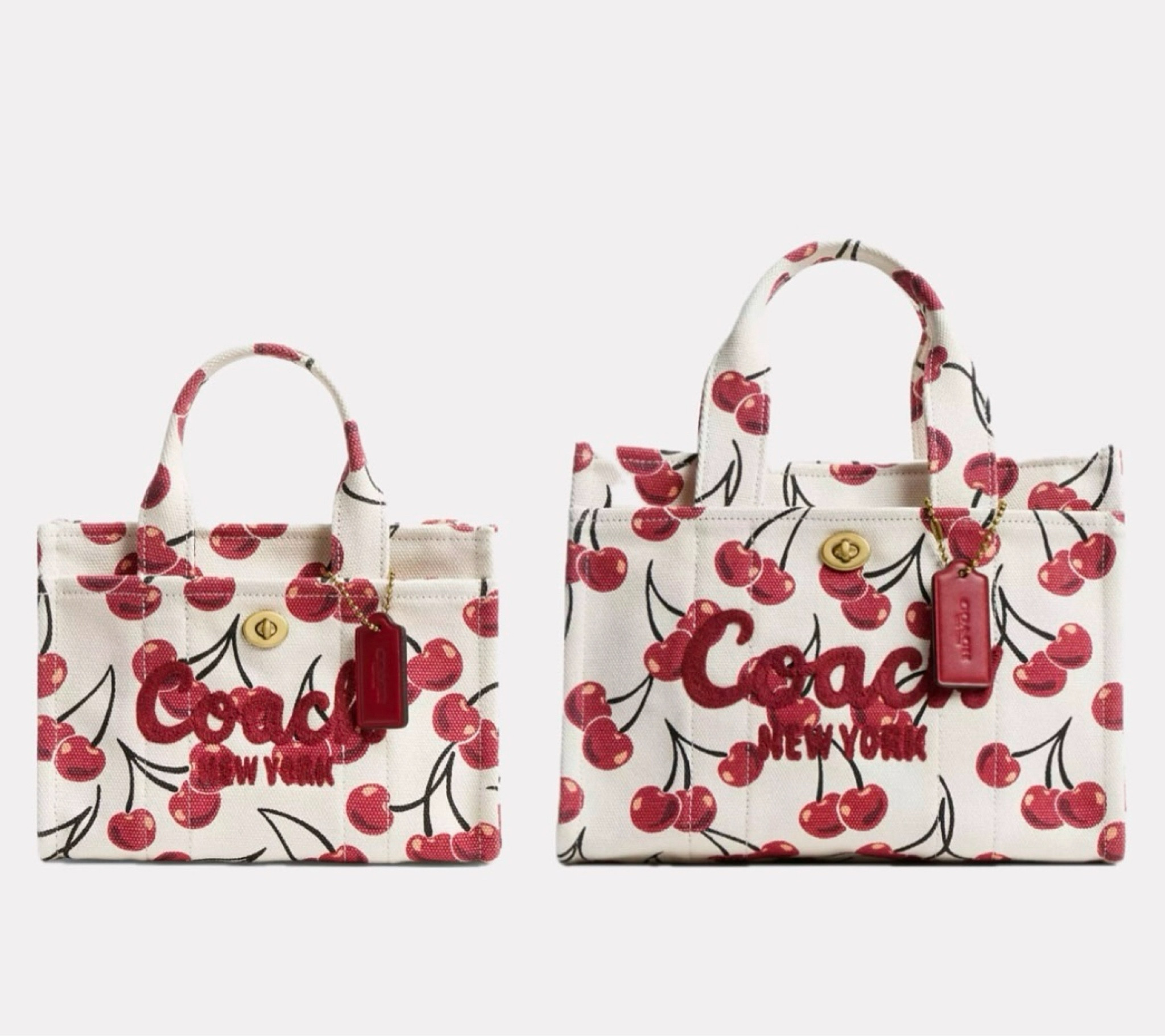 🍒 Coach Tote🍒

#LTKSeasonal #LTKItBag #LTKHoliday