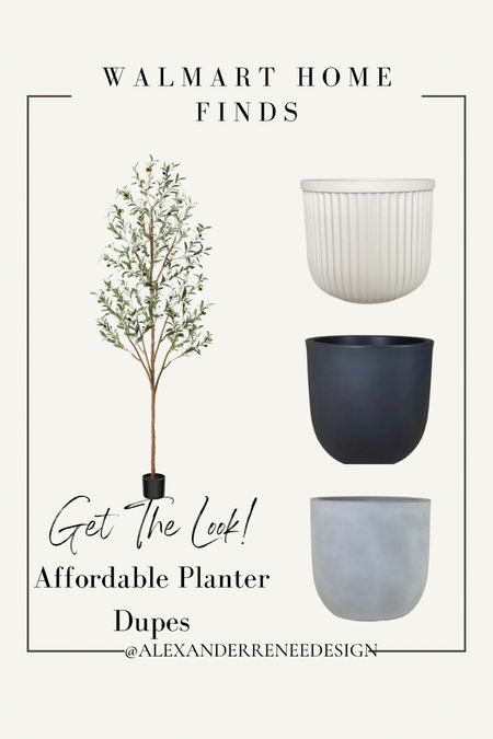 Save money on this olive tree and several affordable planter options from @walmart to create the modern organic space you have been dreaming of with the help of #Walmartpartner

#LTKfindsunder100 #LTKhome #LTKSpringSale