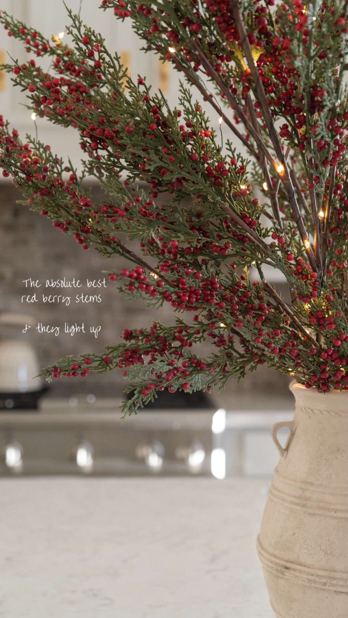 My favorite red berry stems ❤️🎄

#LTKSeasonal #LTKHoliday #LTKHome