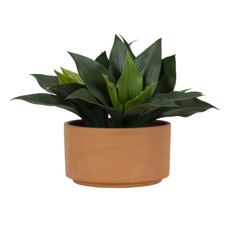 Better Homes & Gardens Faux Agave Plant in Terracotta Planter, 9.25" x 9" - Walmart.com | Walmart (US)