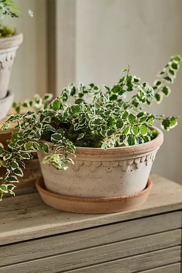 Copenhagen Terracotta Bowl + Saucer Set | Anthropologie (US)