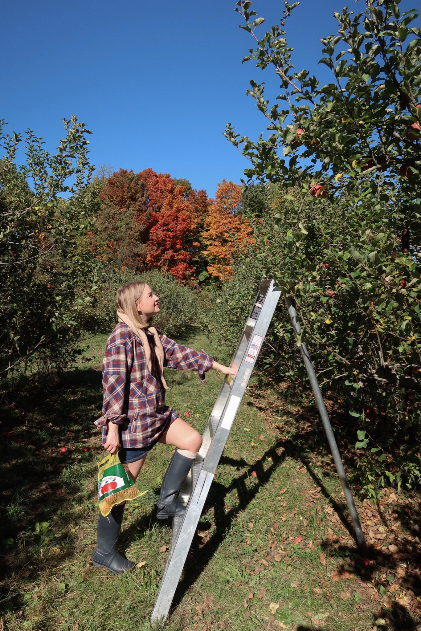 apple picking 🍎🍃🍁

#LTKStyleTip #LTKSeasonal