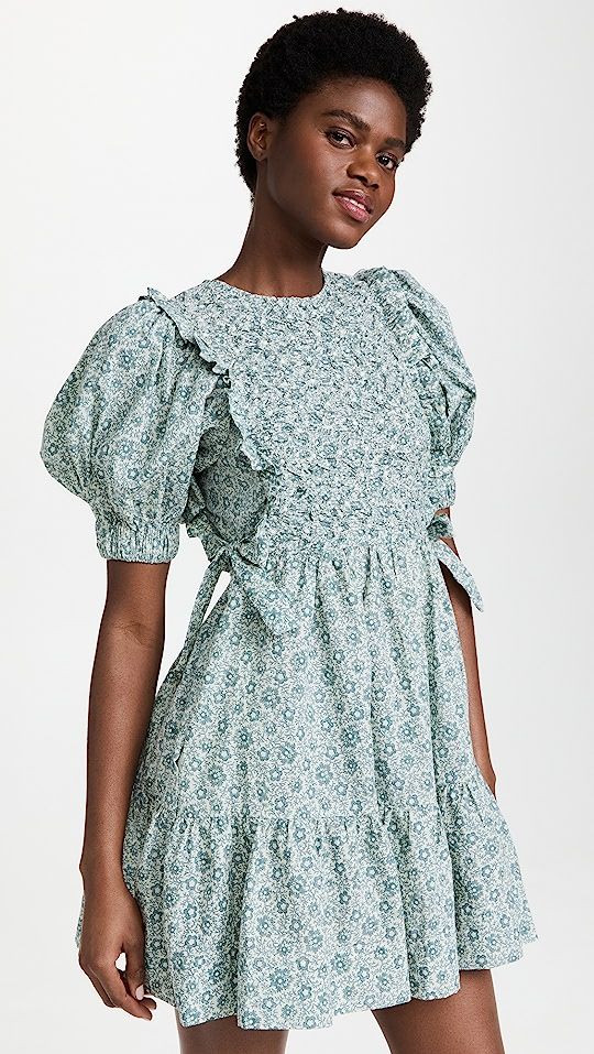 Ida Print Puff Sleeve Smocked Dress | Shopbop