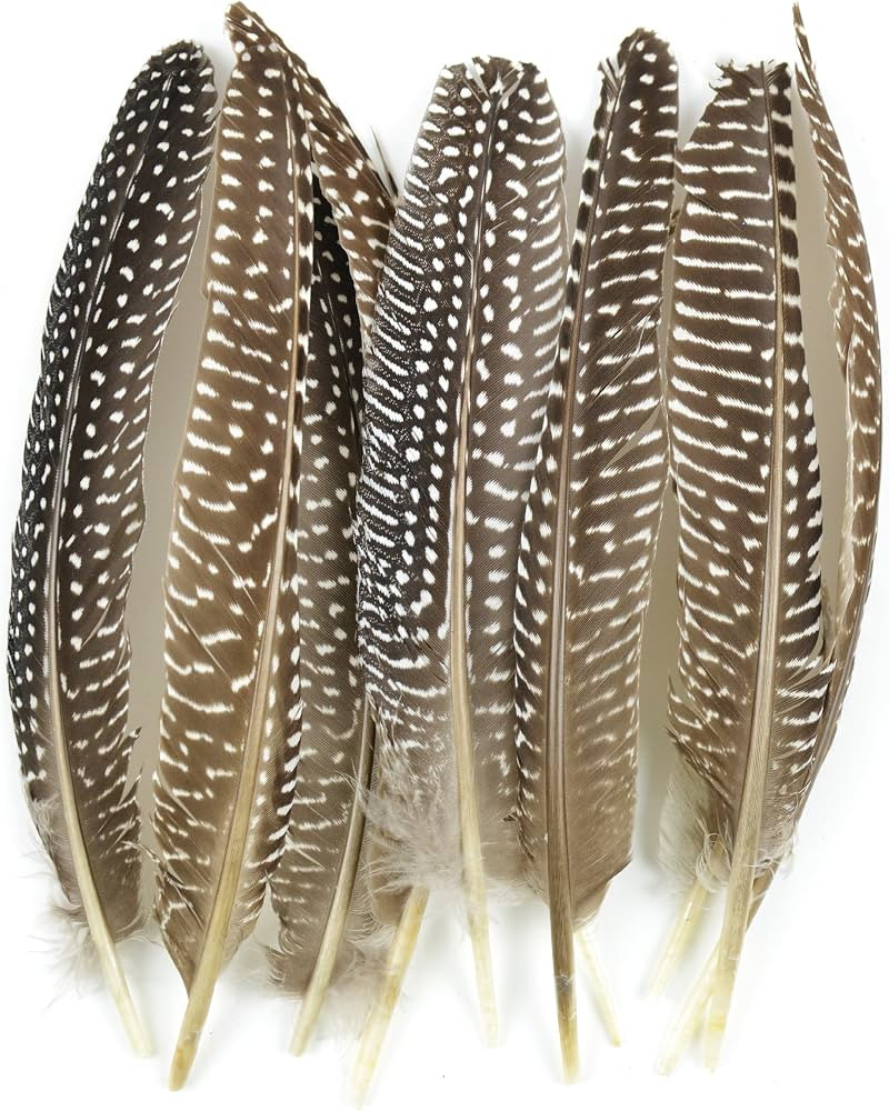 Touch of Nature 38193 Guinea Fowl Wing Quill, 7-Inch | Amazon (US)