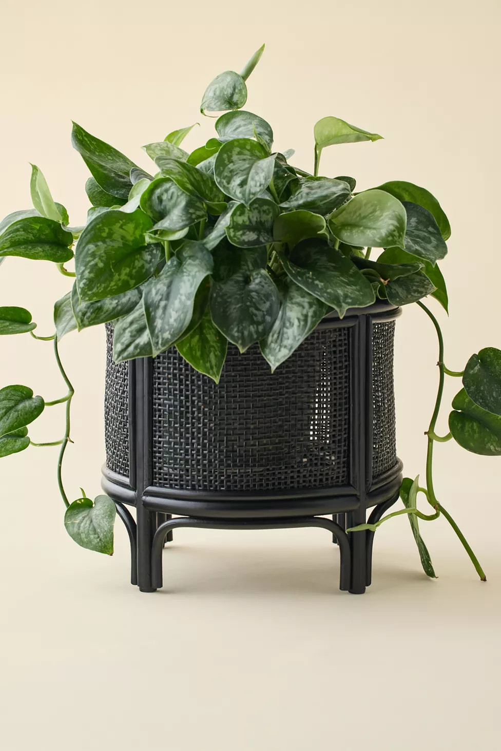 Rattan 12" Planter | Urban Outfitters (US and RoW)
