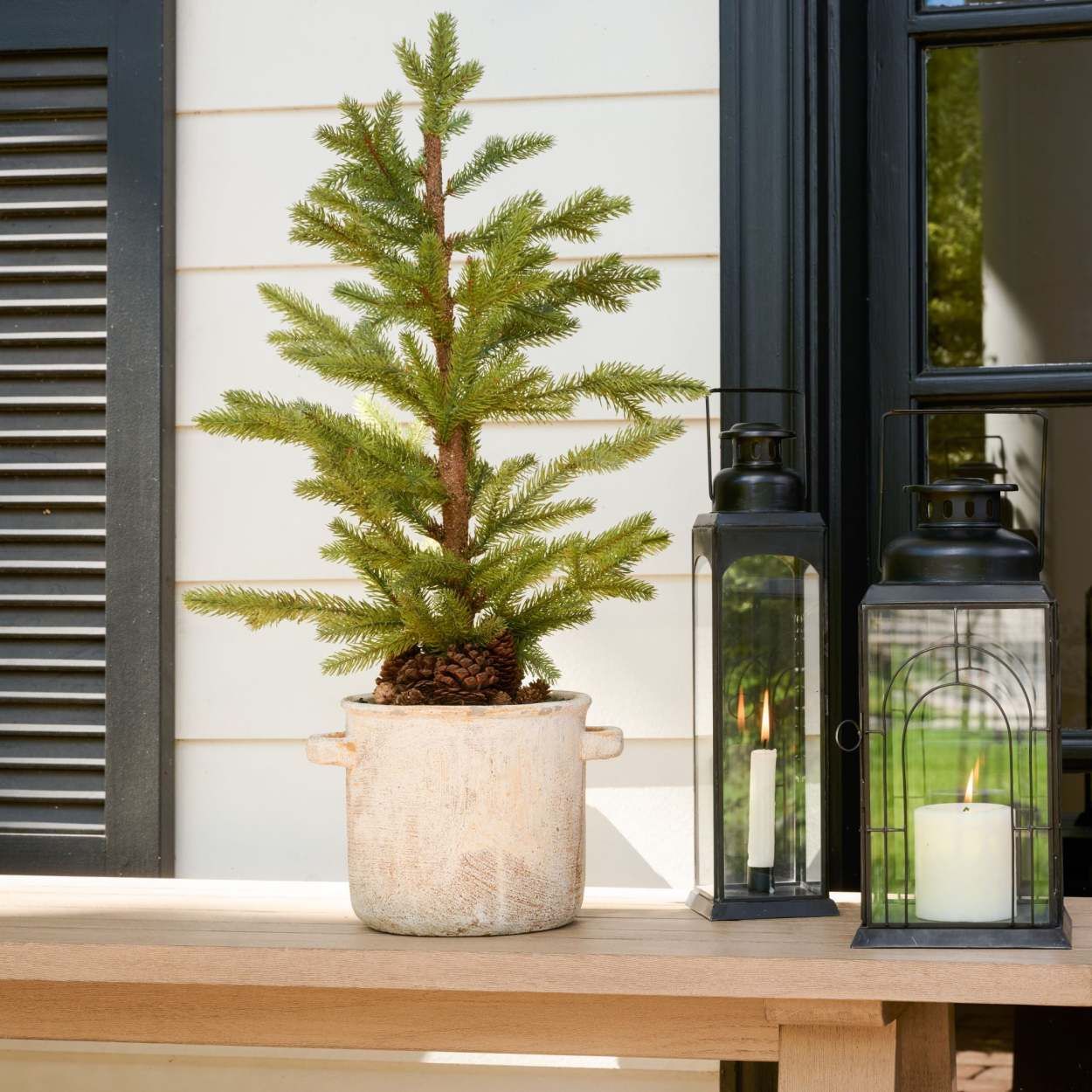 Potted Pine in Crock | Magnolia