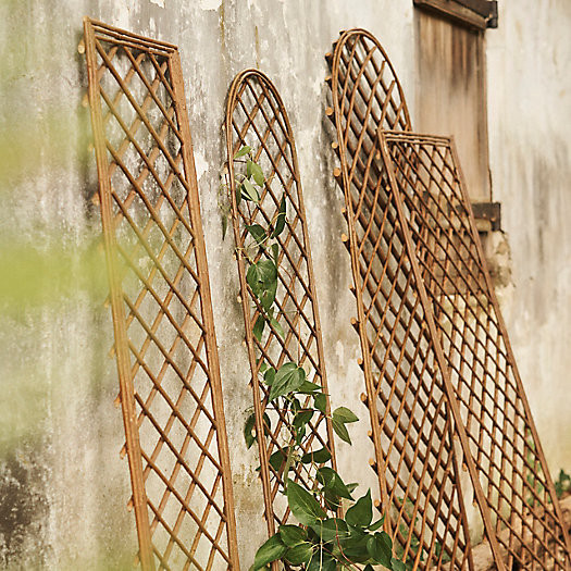 Rounded Top Willow Trellis, Large | Terrain