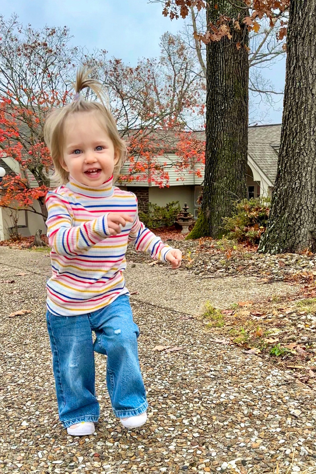 Toddler winter girl’s outfit with the cutest turtleneck and wide leg pants 

#LTKkids #LTKfamily #LTKbaby