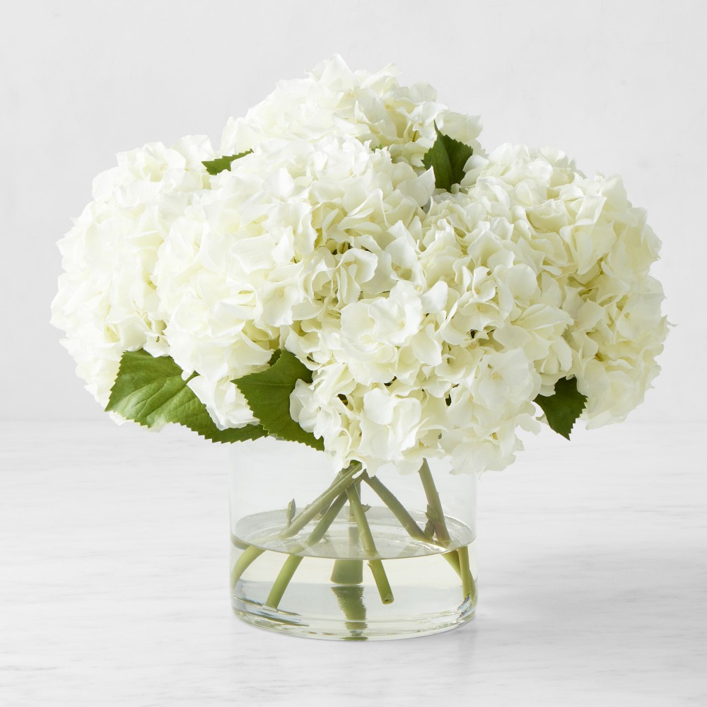 Faux White Hydrangea in Glass Vase | Williams-Sonoma