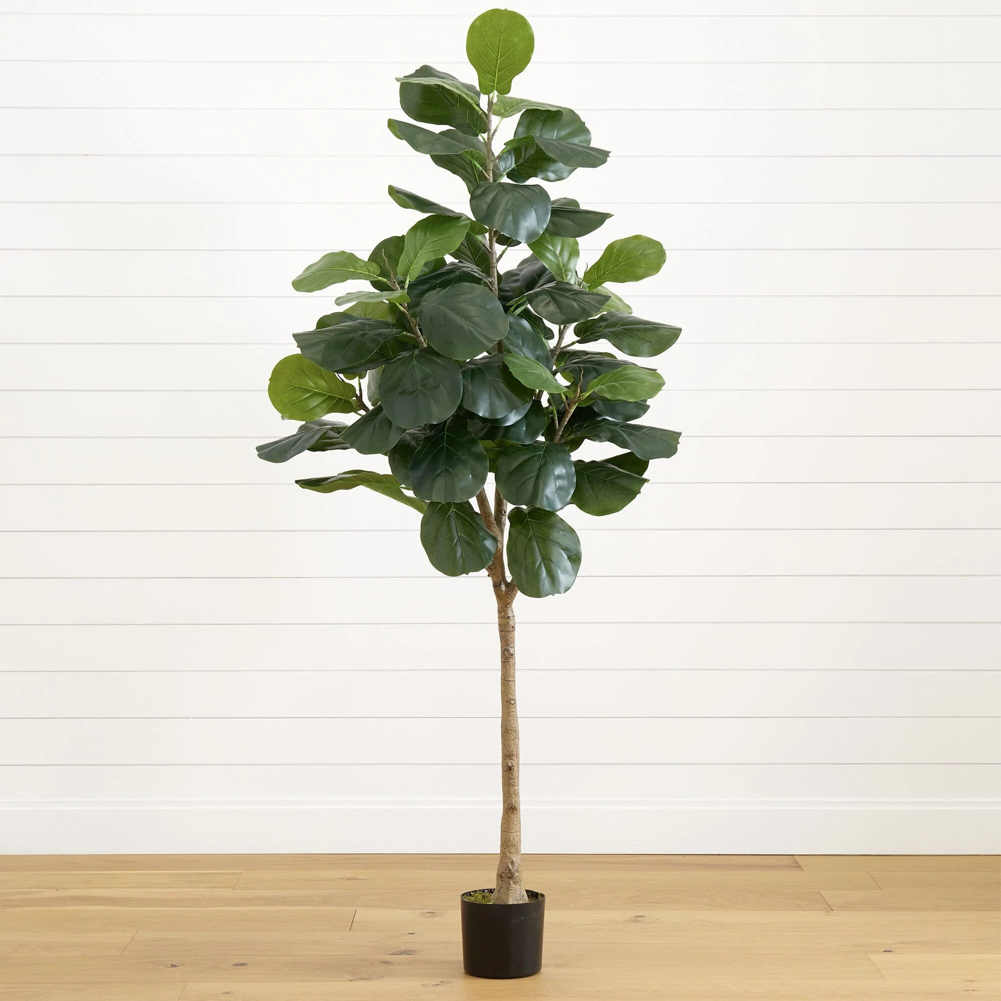 6’ Artificial Fiddle Leaf Tree | Nearly Natural | Nearly Natural