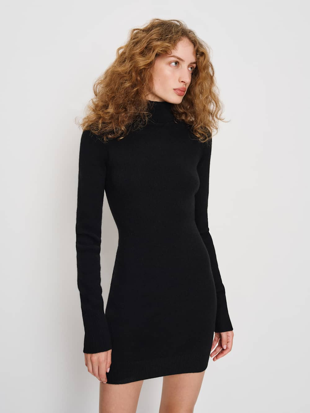Helly Cashmere Turtleneck Dress | Reformation (Global)
