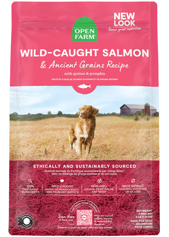 Wild Caught Salmon Dry Dog Food with Ancient Grains - Open Farm | Open Farm Pet
