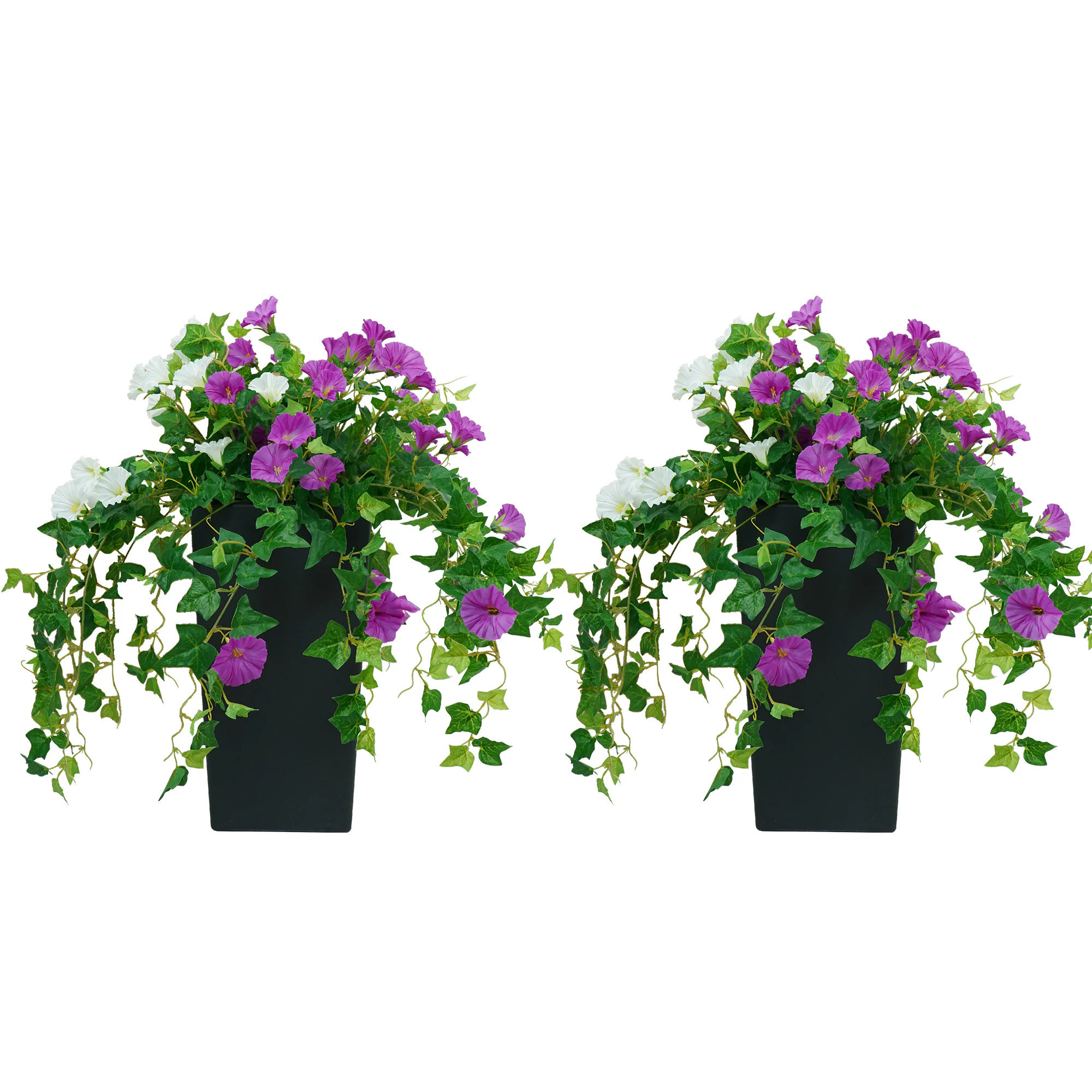 Vitalismo 25-in Purple and White Indoor/Outdoor Floor Morning Glory Artificial Flower in Planters 2 packs Faux Silk Flowers Arrangement for Front | Lowe's