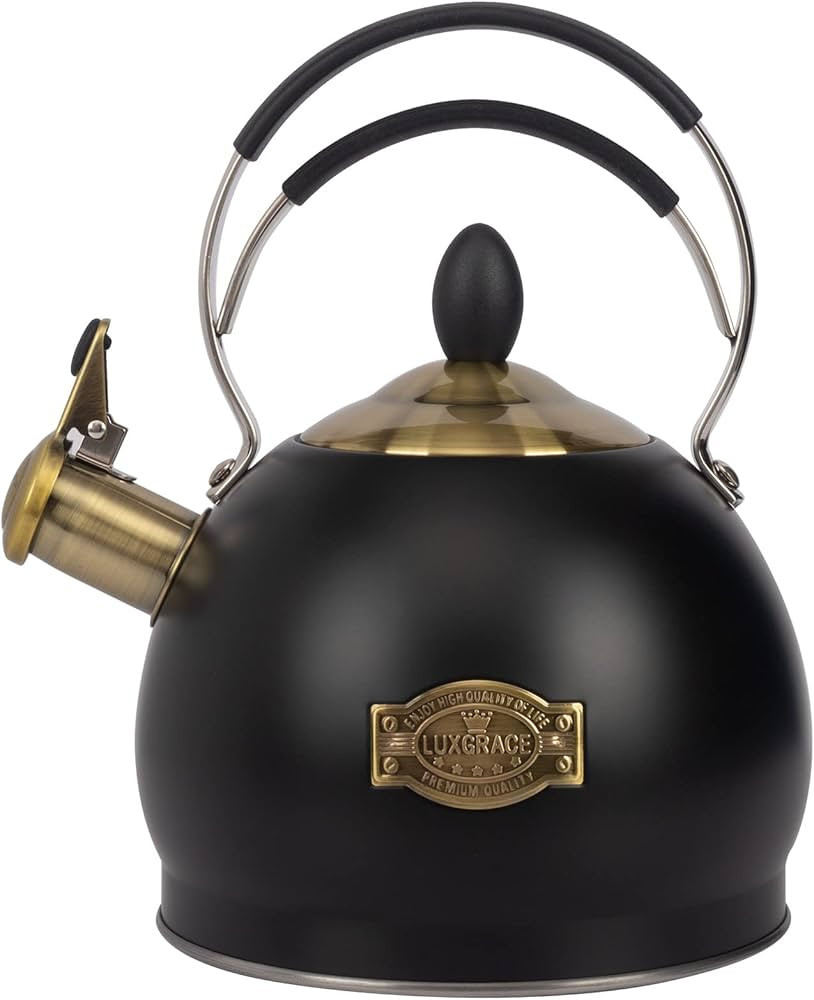 Whistling Tea Kettle Stainless Steel Teapot, Teakettle for Stovetop Induction Stove Top, Fast Boi... | Amazon (US)