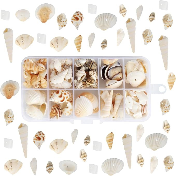 Sea Shells, 150PCS+ Mixed Shell Conch, Natural Conch Shell Beads with Hole, Ocean Spiral Seashell... | Amazon (UK)