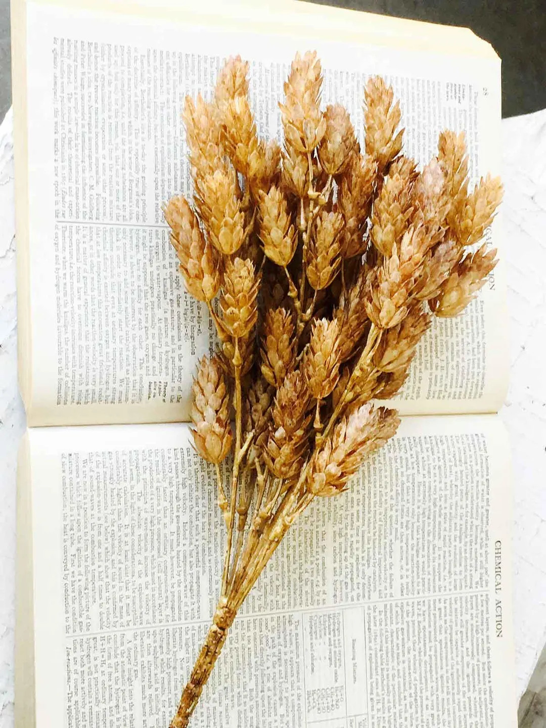 Fall Greenery || Beige Hops Stem || Fall Wheat Stem || Fall Greenery || Farmhouse Greenery || Har... | Etsy (US)