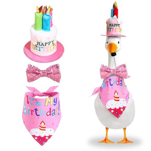 Funny Birthday Goose Outfit 3-Piece Set – Porch Goose Clothes with Cake Hat, Bandana & Bow – Lawn Goose Birthday Decoration for Cement & Plastic Goose Statues | Amazon (US)