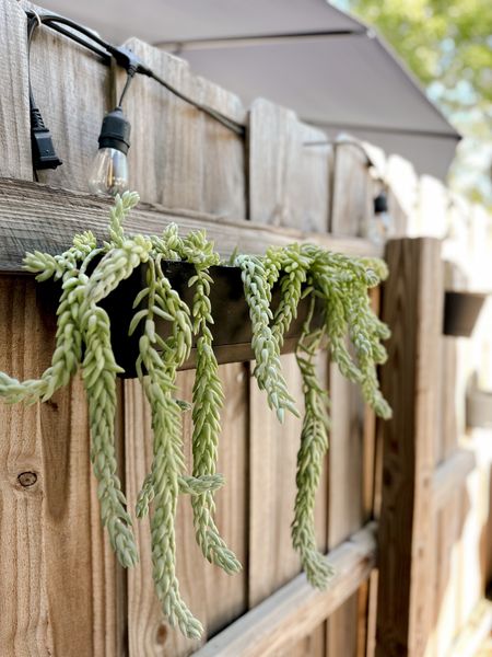 Try these affordable hanging planters from Target for $8! Makes the perfect hanger to create a plant wall on your fence.

#LTKhome #LTKFind #LTKunder50