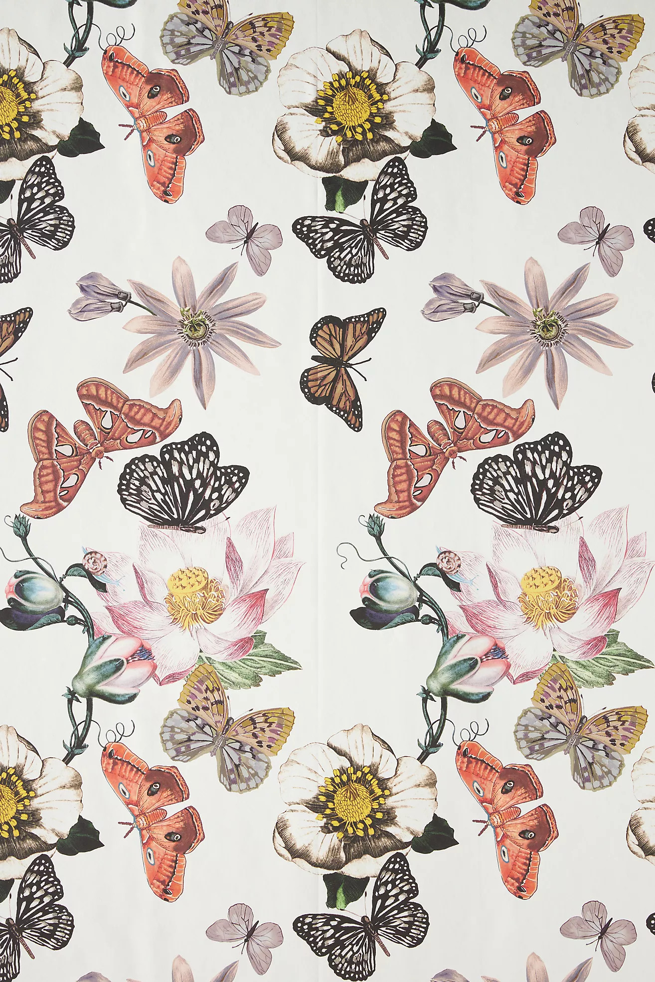 Melina Wallpaper | Anthropologie (US)