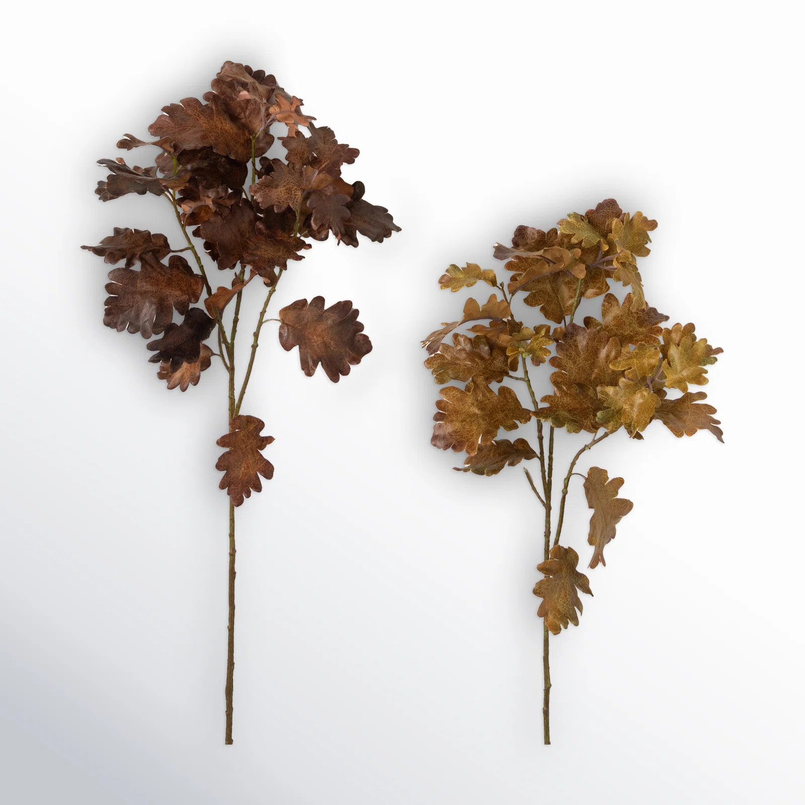Birch Lane™ Damali Oak Leaf Sprays & Reviews | Wayfair | Wayfair North America