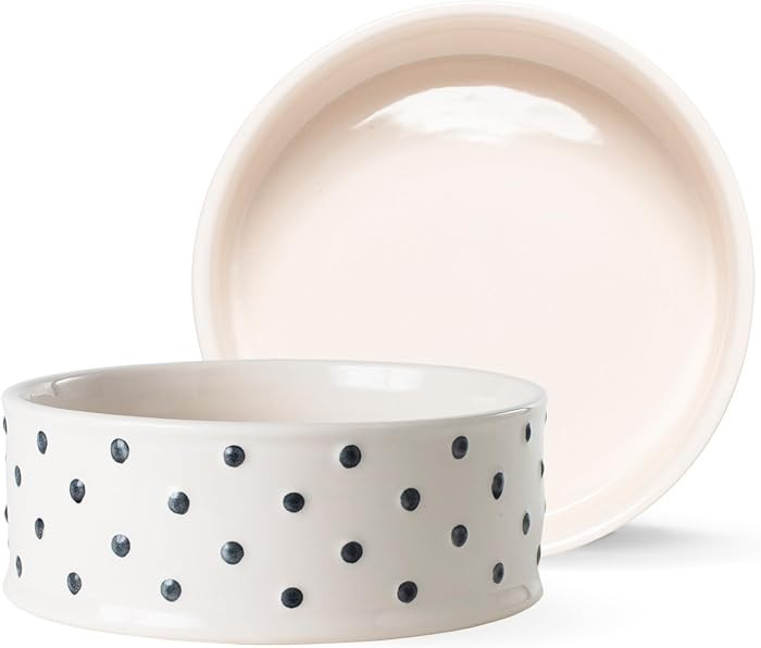 Fringe Studio Memento DOT Medium Stoneware Pet Bowl, PetShop Collection (633201) | Amazon (US)