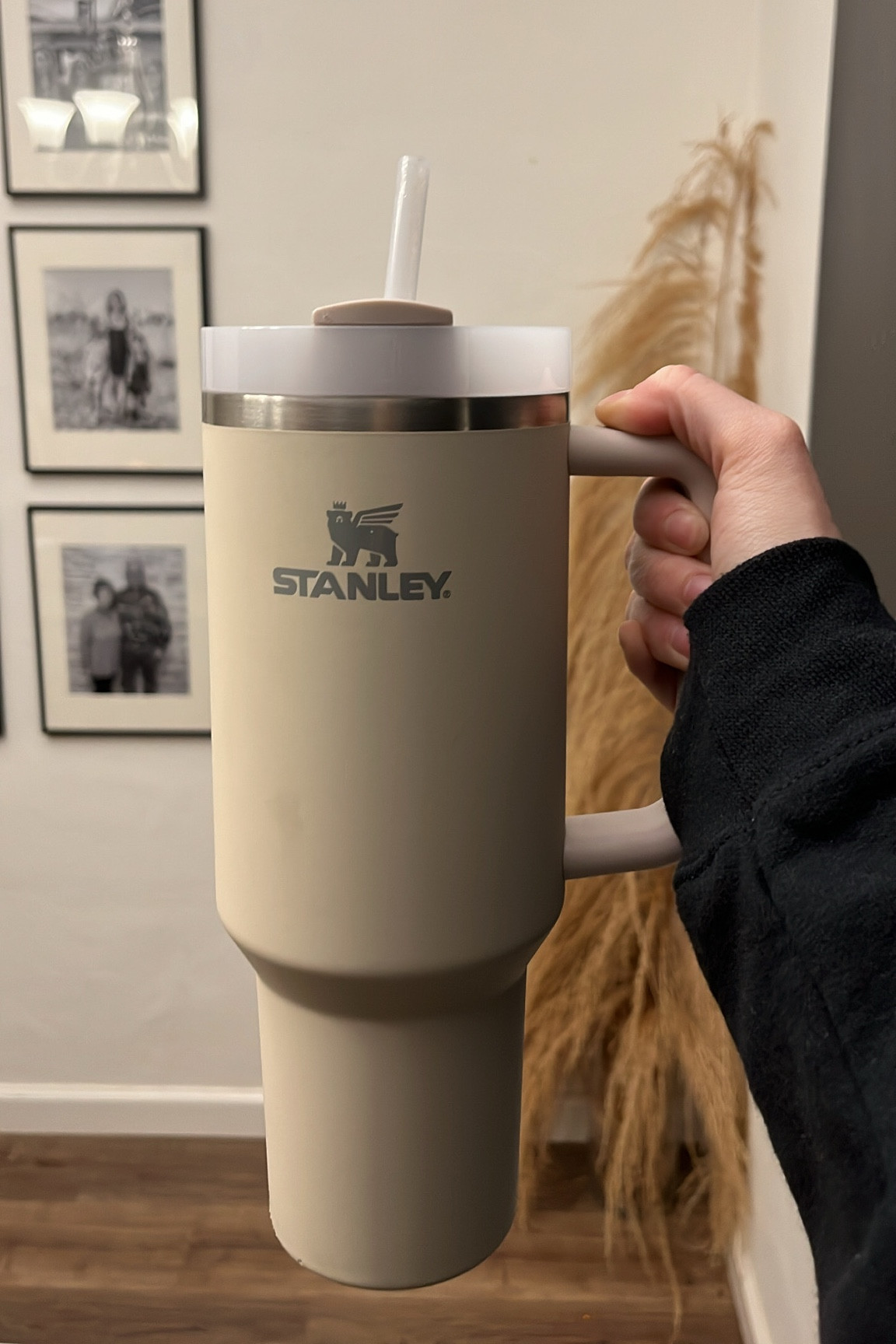 Stanley cup, dune stanley cup, beige stanley cup, 40 oz stanley cup, water bottle, fitness water bottle, fitness accessories, work out, gym accessories, healthy lifestyle, neutral stanley cup, grey stanley, stanley with handle, straw water bottle 

#LTKunder50 #LTKfit #LTKunder100