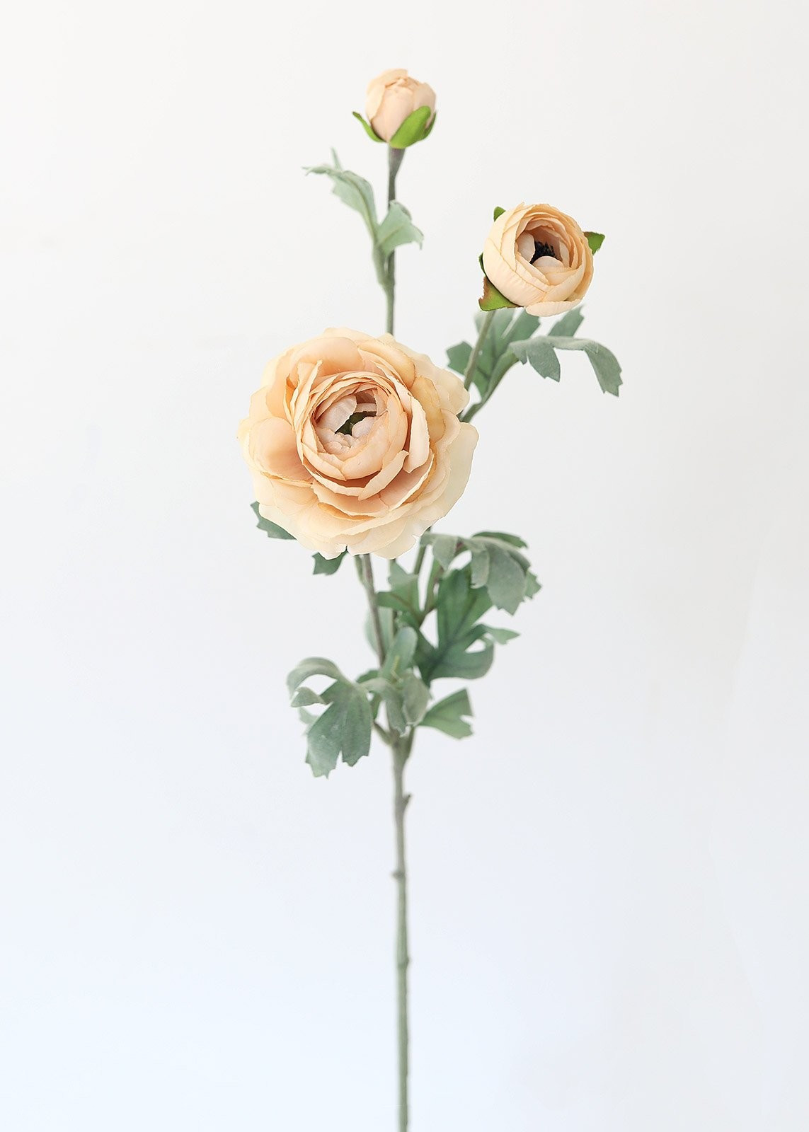 Artificial Ranunculus Flowers in Beige Tan - 26" | Afloral (US)