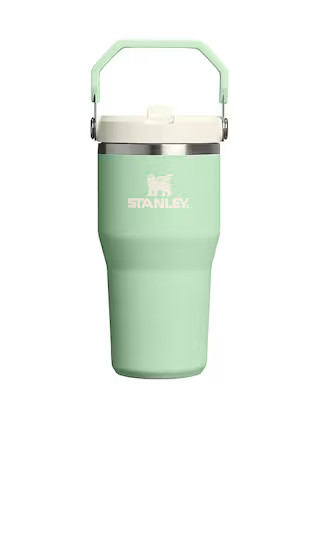 The Iceflow Flip Straw 2.0 Tumbler 20 Oz in Pistachio | Revolve Clothing (Global)