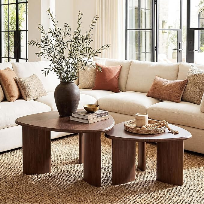 Honyee Nesting Coffee Table Set of 2, Modern Walnut Wood Veneer Coffee Table and Side Table Set f... | Amazon (US)