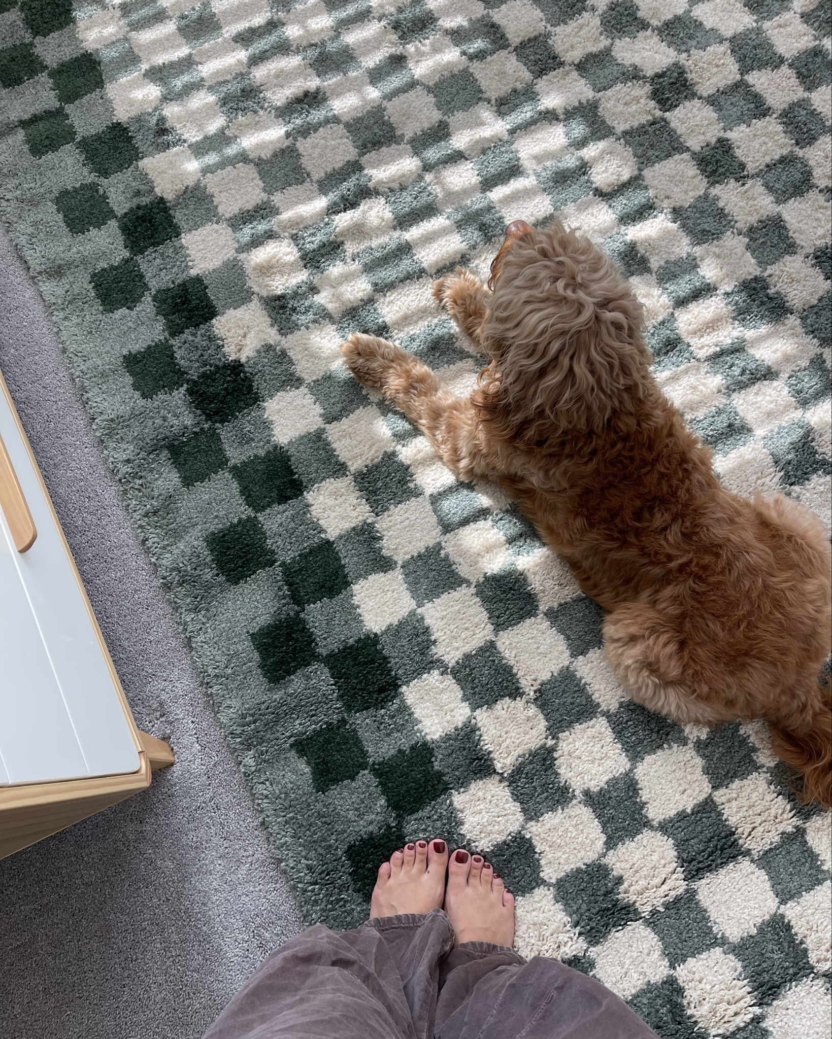 new checkered grey/green rug from wayfair 🤍🏠 it is currently 16% off!

#LTKKids #LTKHome #LTKSaleAlert