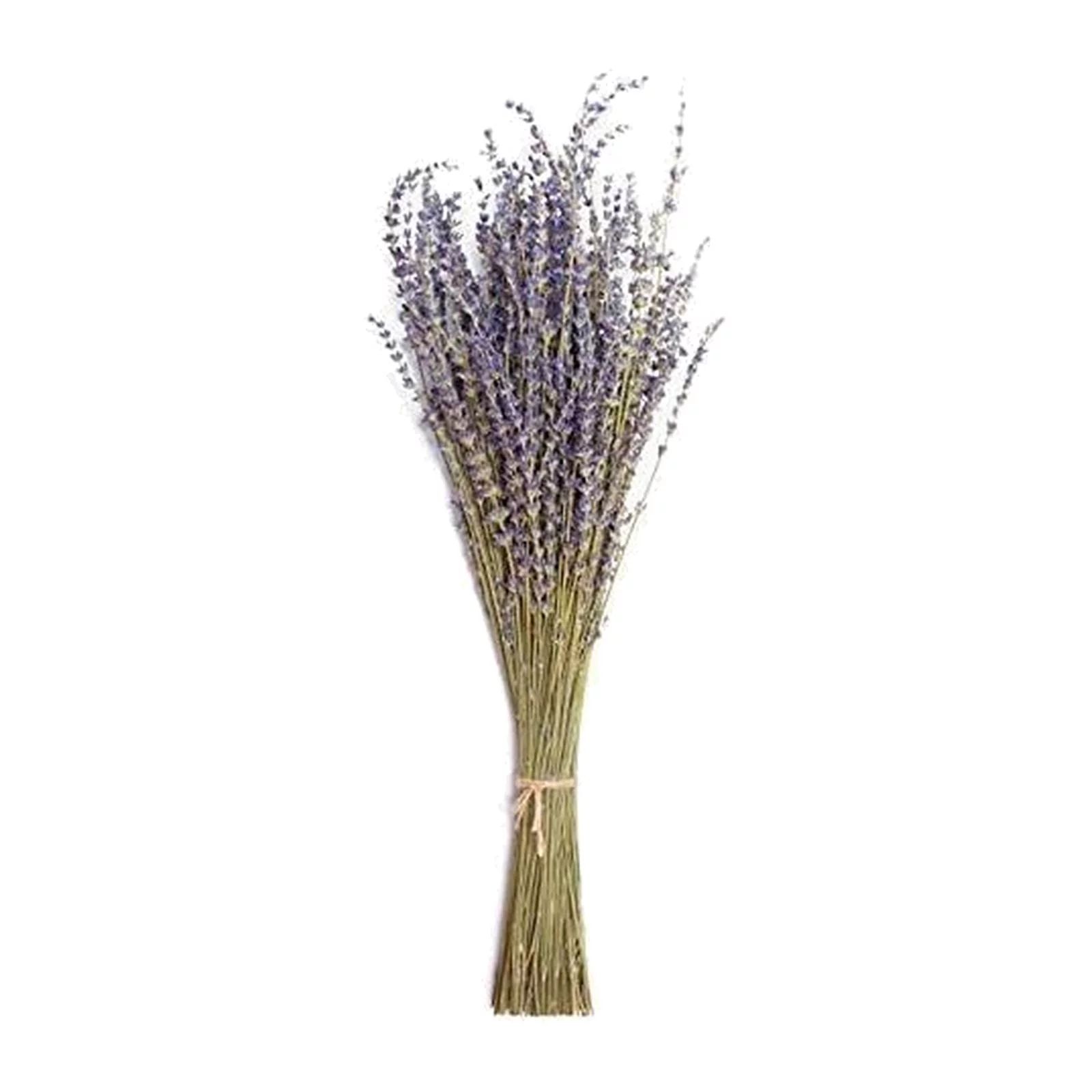 Lavender Dried Flowers Dried Lavender Home Fragrance Products for Home Decorations, Wedding, Part... | Walmart (US)