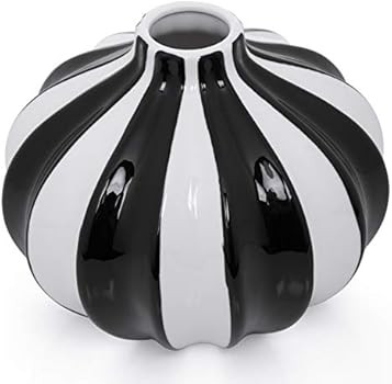 Torre & Tagus Abstract Black and White Vase - Modern Decor Ceramic Vase for Flowers with Stripes ... | Amazon (US)