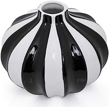 Torre & Tagus Abstract Black and White Vase - Modern Decor Ceramic Vase for Flowers with Stripes ... | Amazon (US)