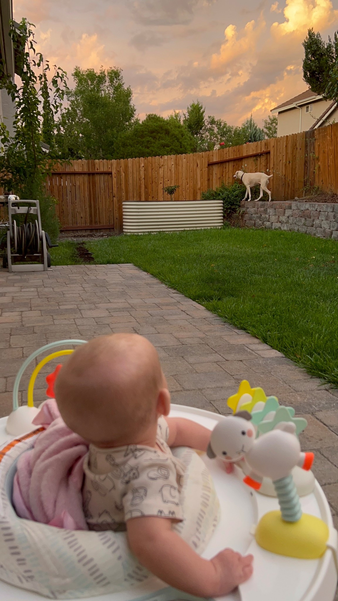 Watching the stormy sunset with my ladies 🥰

#baby #planter #backyard #gardening 

#LTKHome #LTKSeasonal