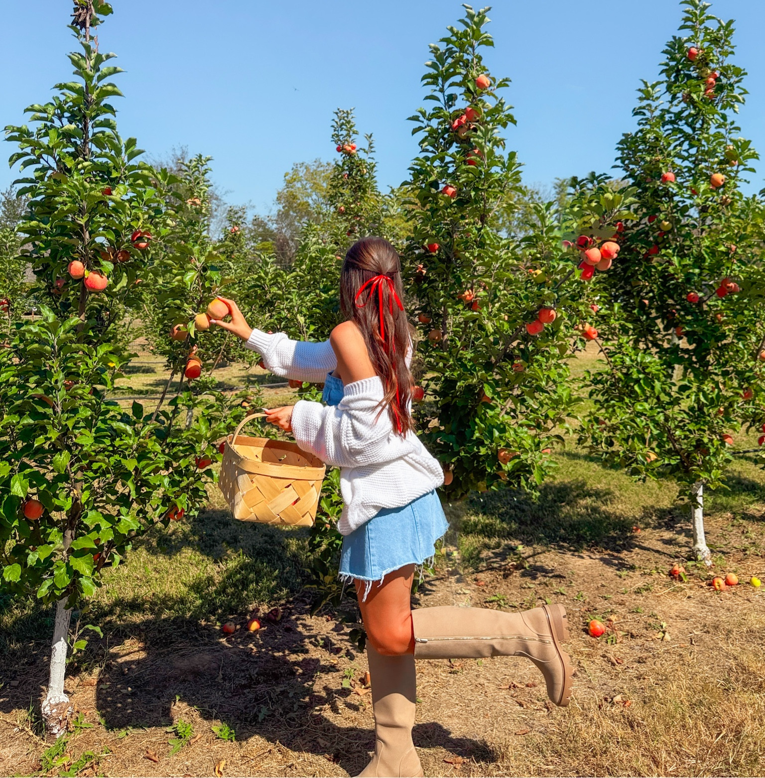 apple picking ootd 🍎🍁