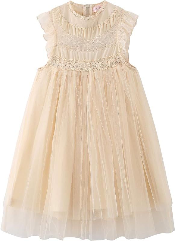 Colorful Childhood Girls Multi-Layer Tulle Lace Dress Princess Wedding Birthday Party Tutu Dress | Amazon (US)