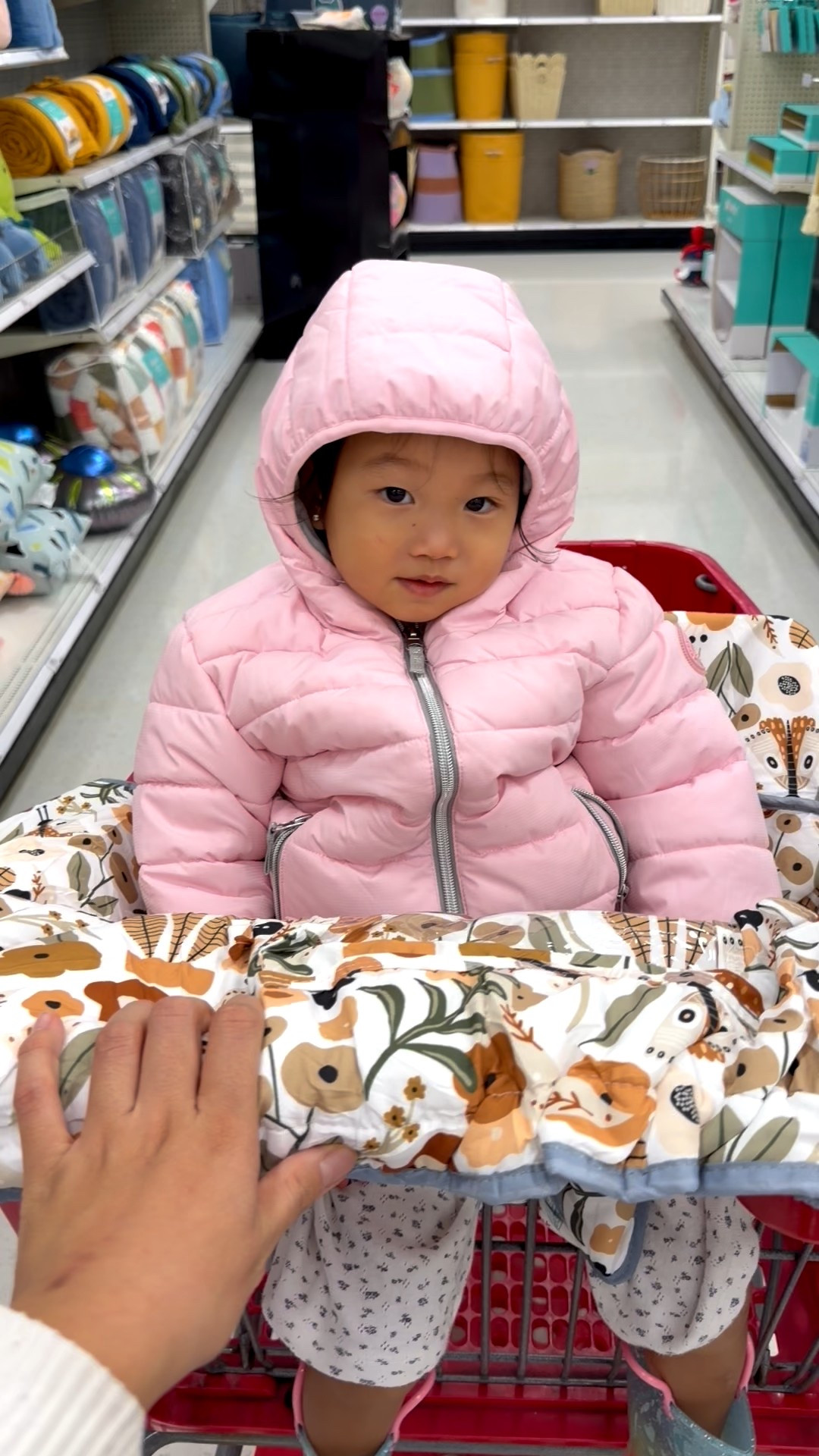 Shopping cart cover because it’s flu/cold season

#LTKKids #LTKBaby #LTKBump