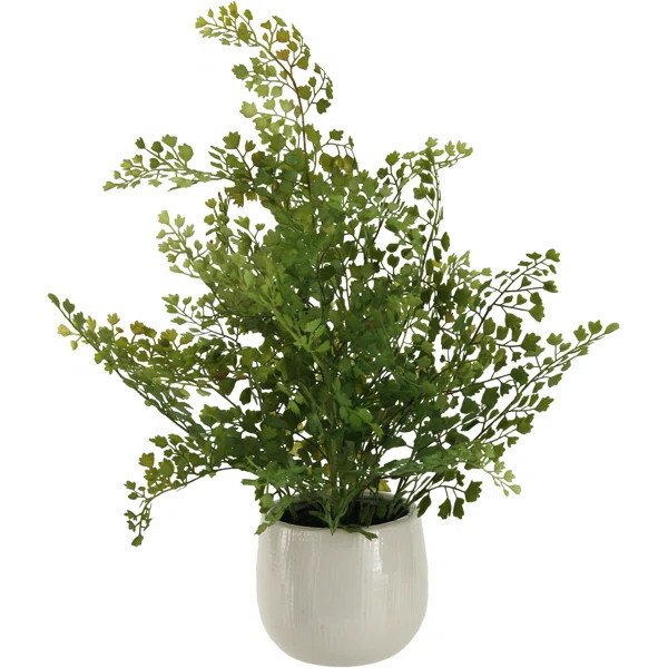 Wire Fern Ceramic Plant in Planter | Wayfair North America