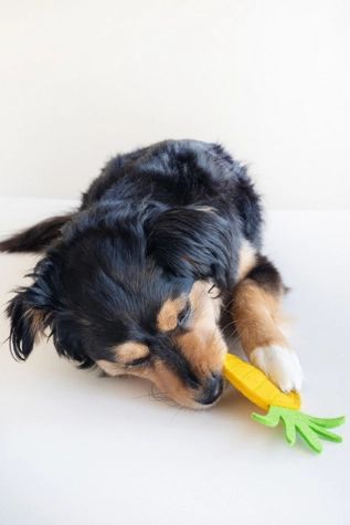 MODERNBEAST Puppy Pineapple Chew Toy | Free People (Global - UK&FR Excluded)