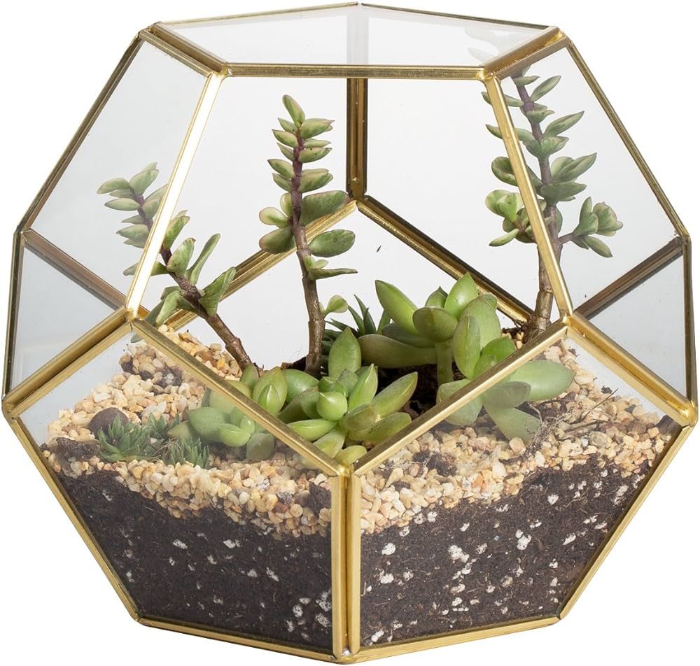 NCYP 5.9inches Gold Glass Geometric Terrarium Pentagon, Handmade Brass Planter for Succulent Fern Mo | Amazon (US)