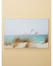 24x36 Beach Grass Art Box In Invisible Frame | HomeGoods