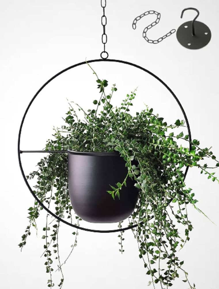 Shineloha Metal Plant Hangers with 5.5" Pot (Detachable) + Hook + Chain | Hanging Planters Indoor... | Amazon (US)