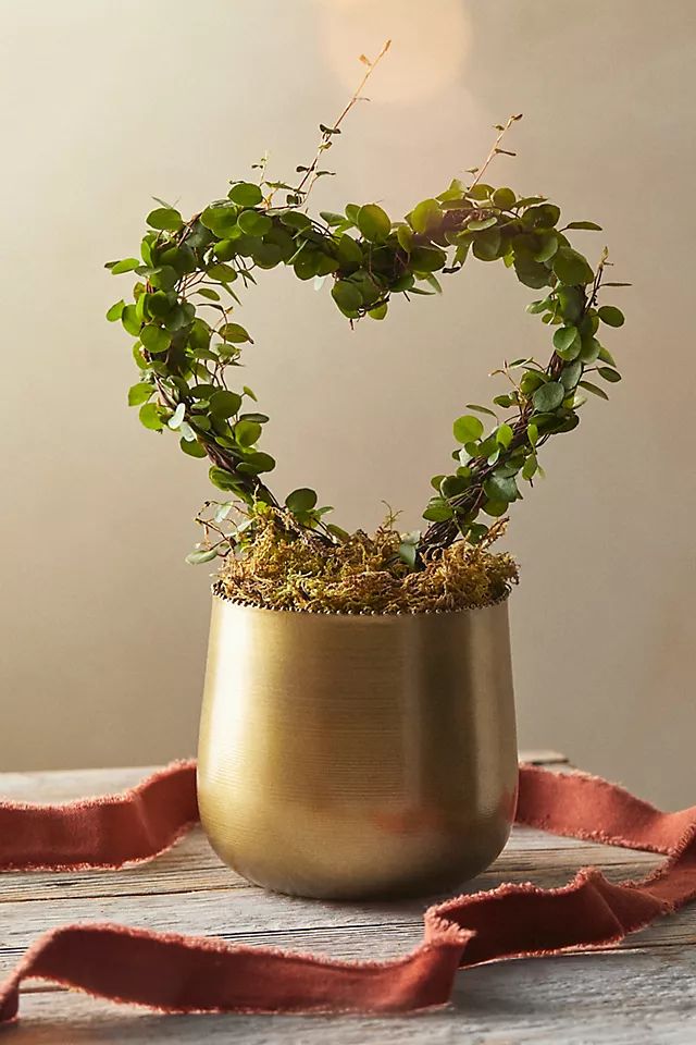 Angel Vine Heart Topiary, Gold Metal Pot | Terrain