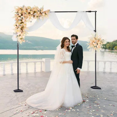 Backdrop Stand Background Stand Kit 8.5 x 10 ft for Party & Photo Studio | Wayfair North America