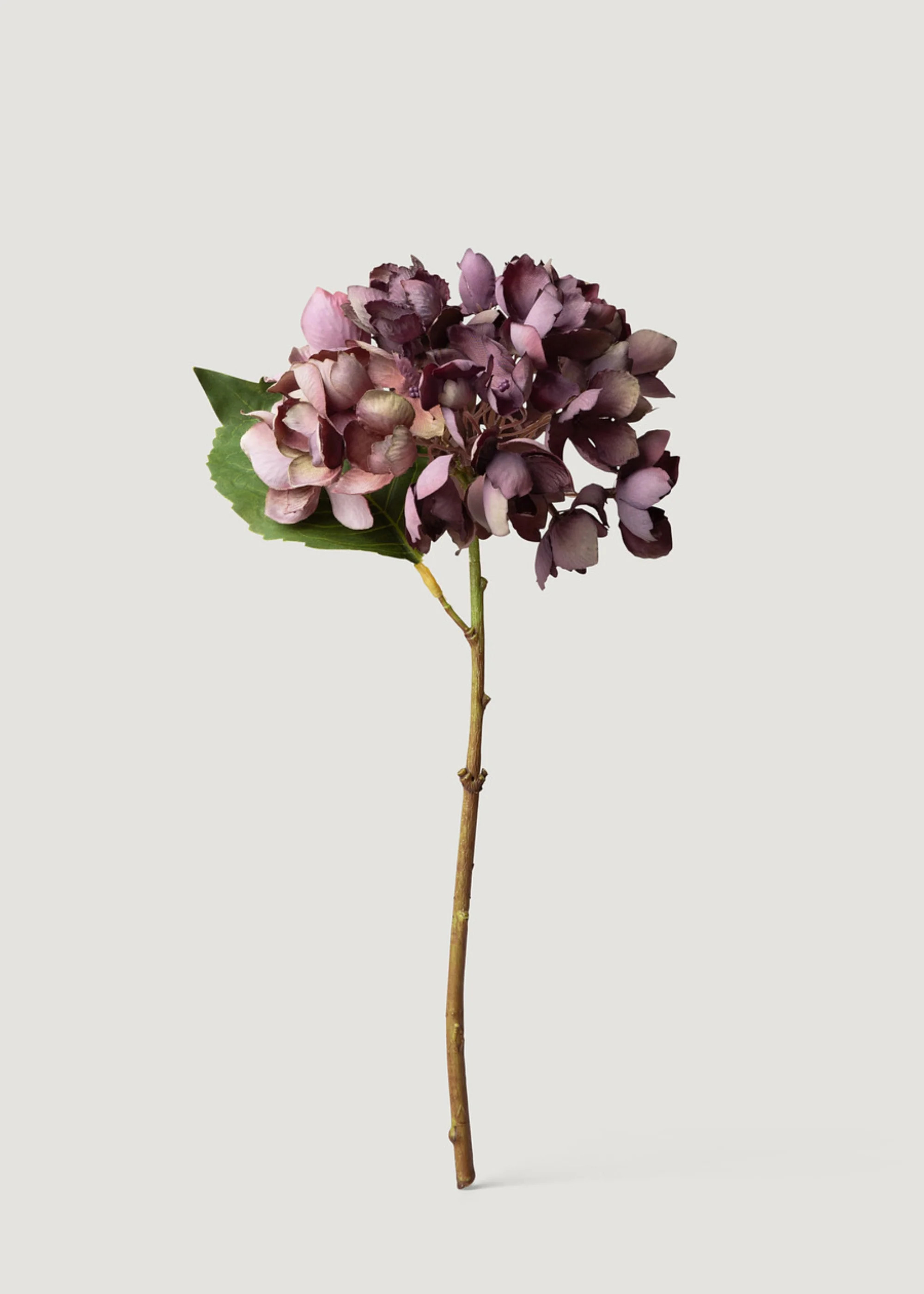 Hydrangea in Vintage Plum | Elevated Artificial Flowers | Afloral | Afloral