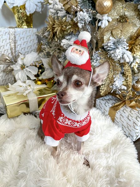 Christmas outfit for the dog!

Santa hat, dog clothes, ugly Christmas sweater, Shein 

#LTKHoliday #LTKunder50 #LTKfamily