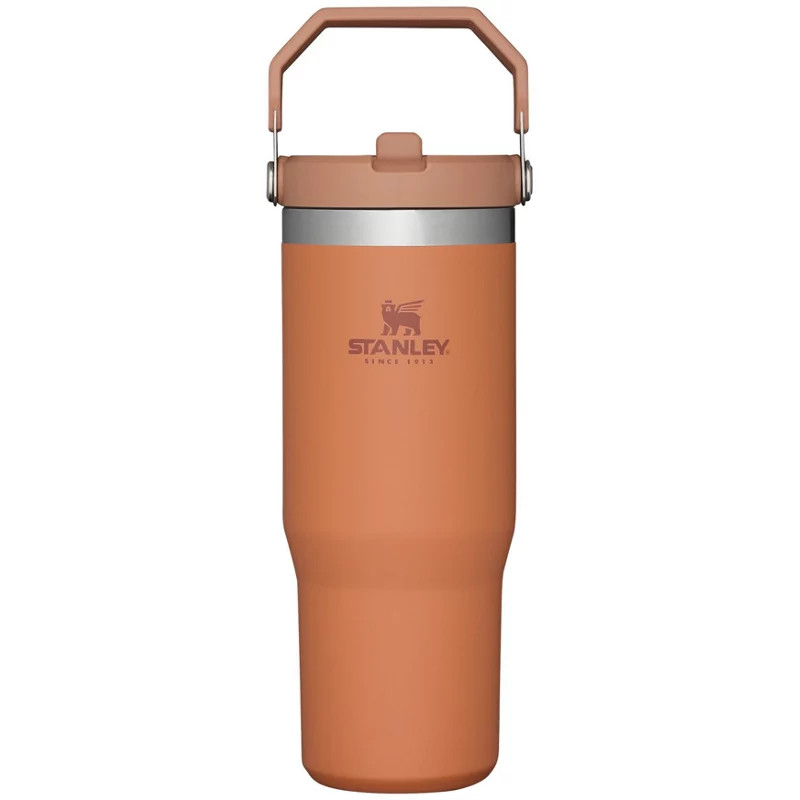 Stanley The IceFlow 30 oz Classic Flip Straw Tumbler Orange Dark - Thermos/Cups &koozies at Academy  | Academy Sports + Outdoors