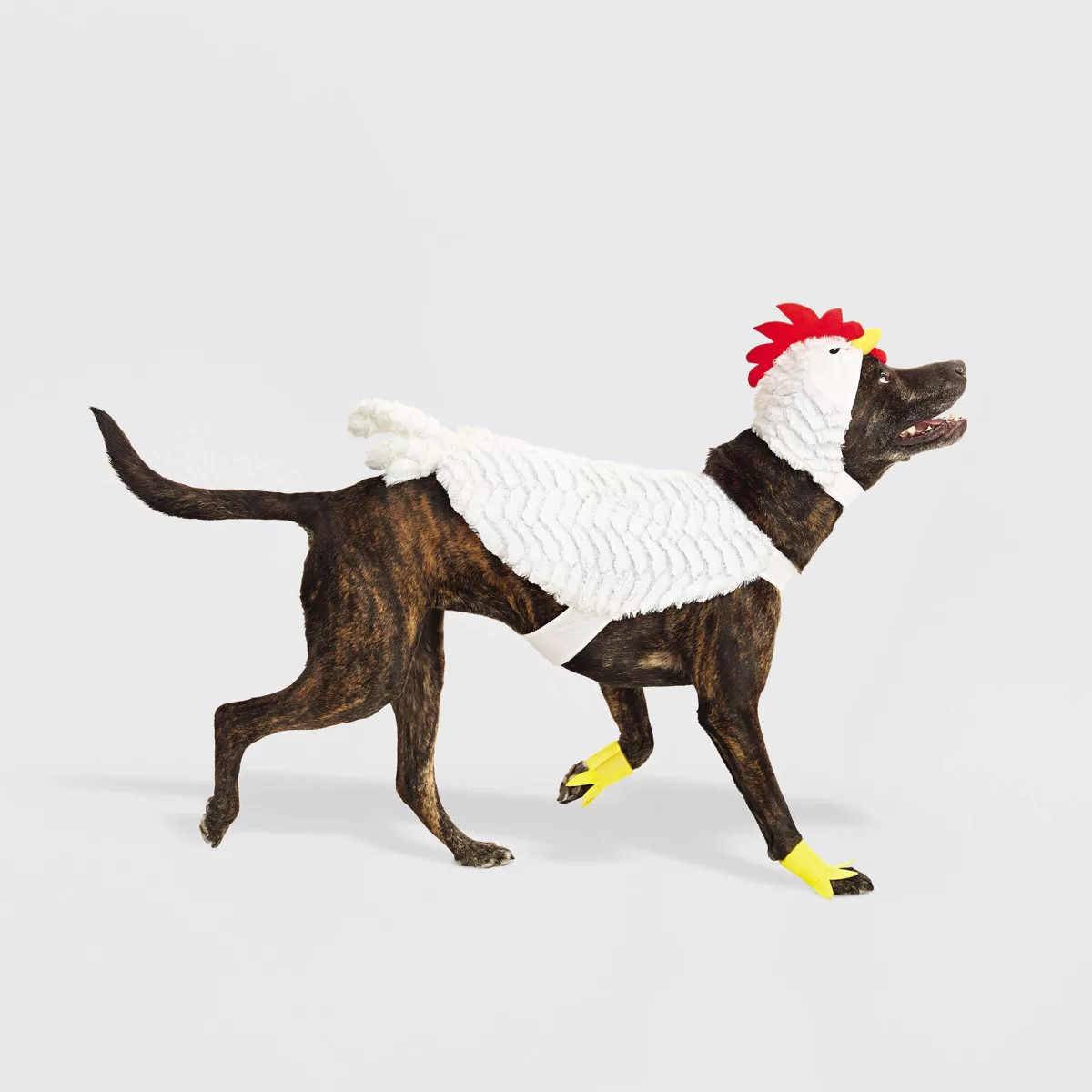 Halloween Full Body White Chicken Cat and Dog Costume - Hyde & EEK! Boutique™ | Target