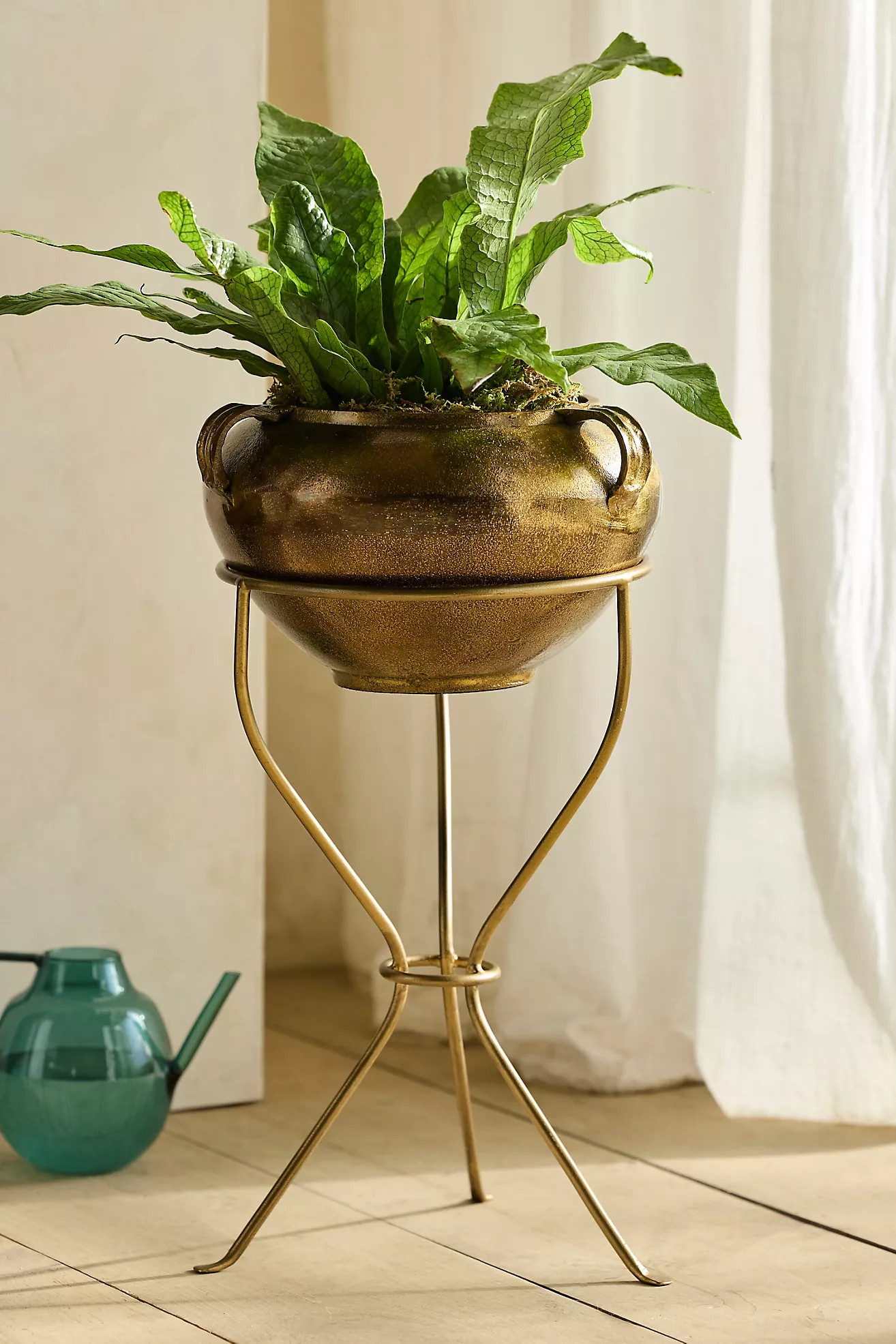 Brass Tripod Plant Stand | Terrain